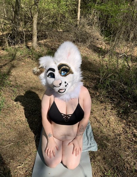 Saoirsemutt