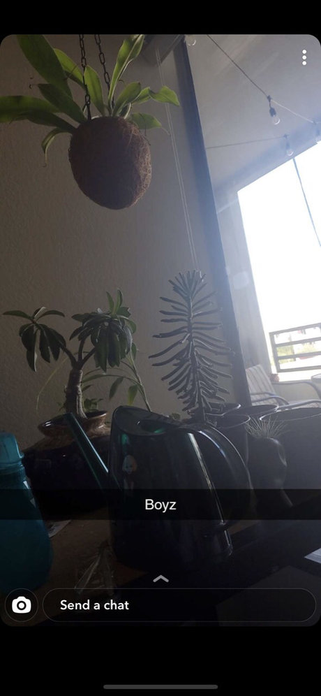 Chocob