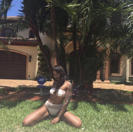 Ashanti Lollis