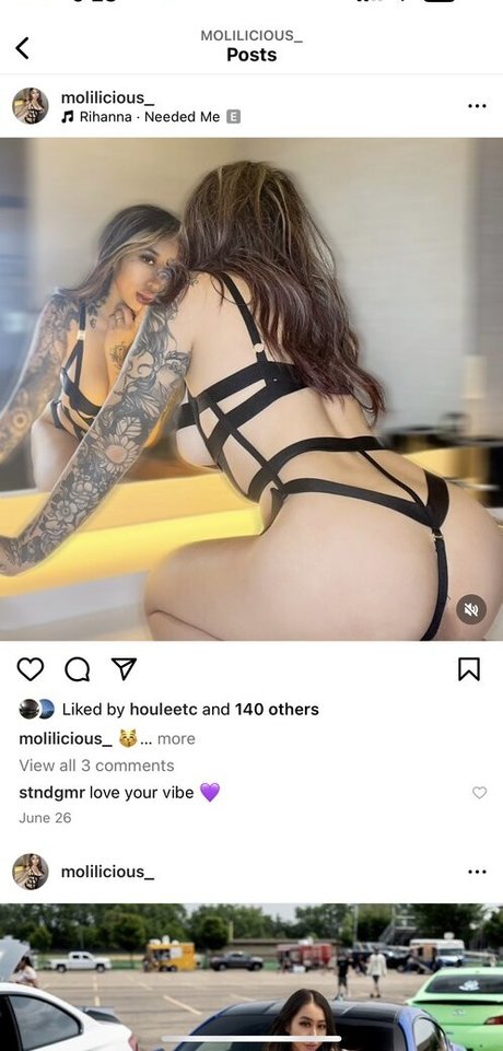Naken läckt OnlyFans-bild av Molilicious