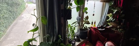 Naken läckt OnlyFans-bild av Poisoningivy