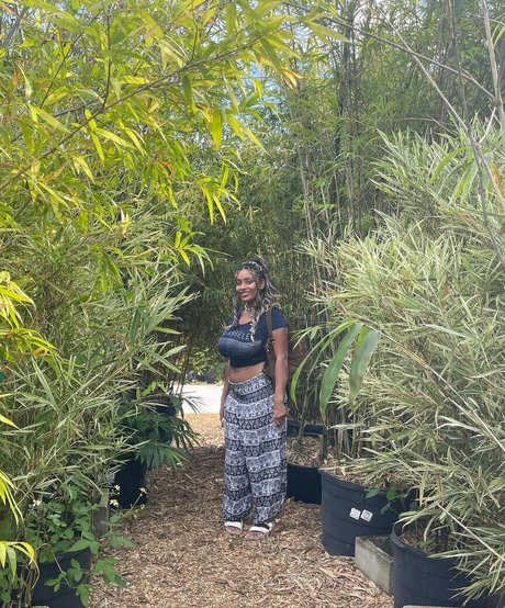 Plantbae