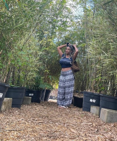 Plantbae