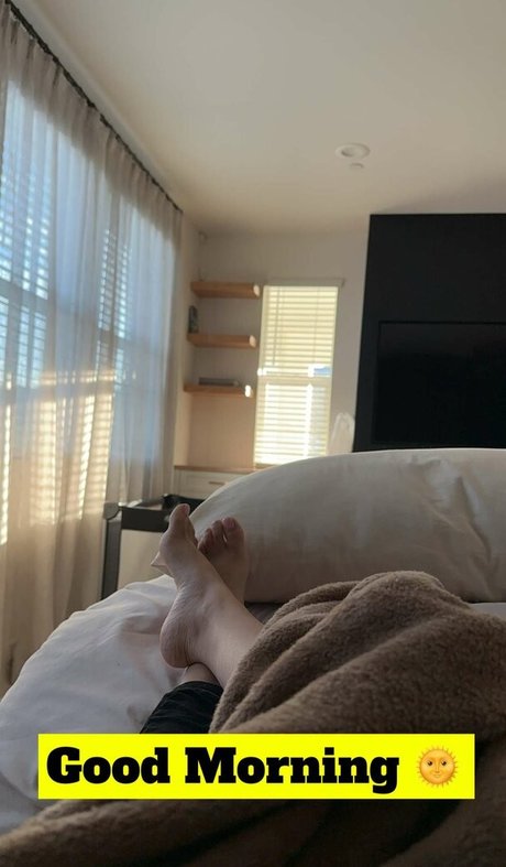 Evettexo