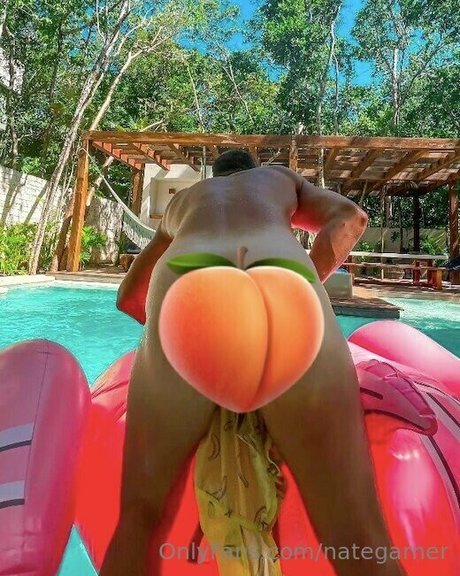 Nategarner