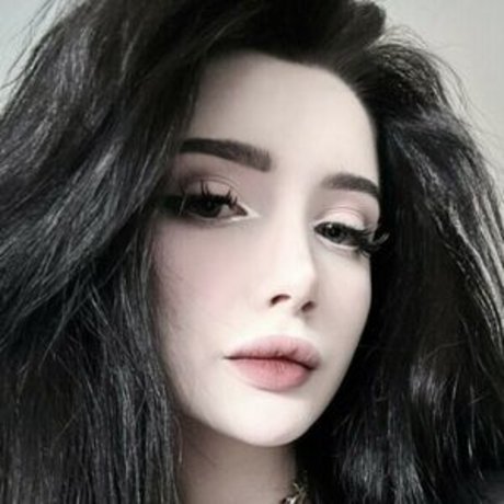 Morphilina