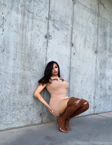 Thefelicityfox
