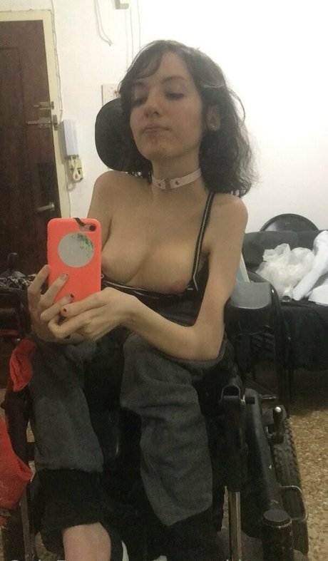 Sunnykitsunexo