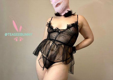 Teaseebunny