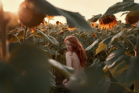 Fieryfairy