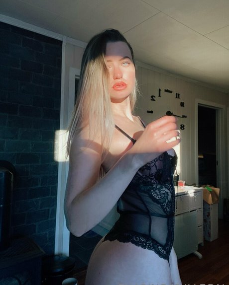 Bunnyboofree