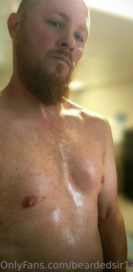 Beardedsir138