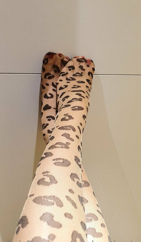 Candycatcris