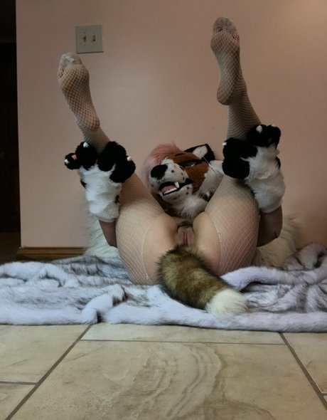 Foxanatomy