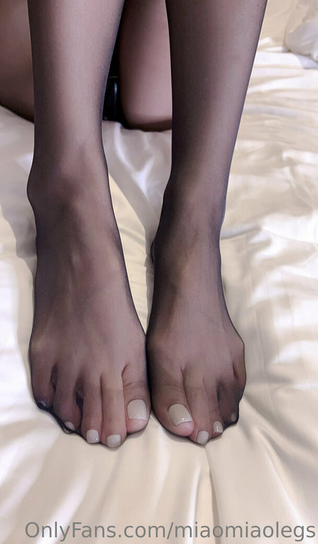 Miaomiaolegs