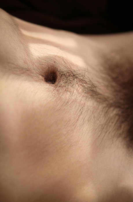 Eroicaforest