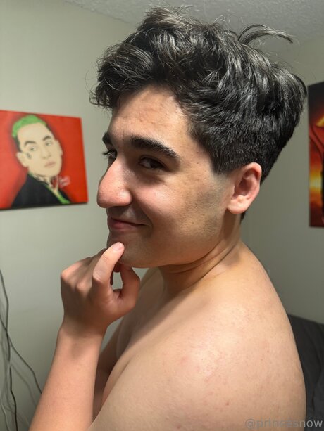 Princecsart