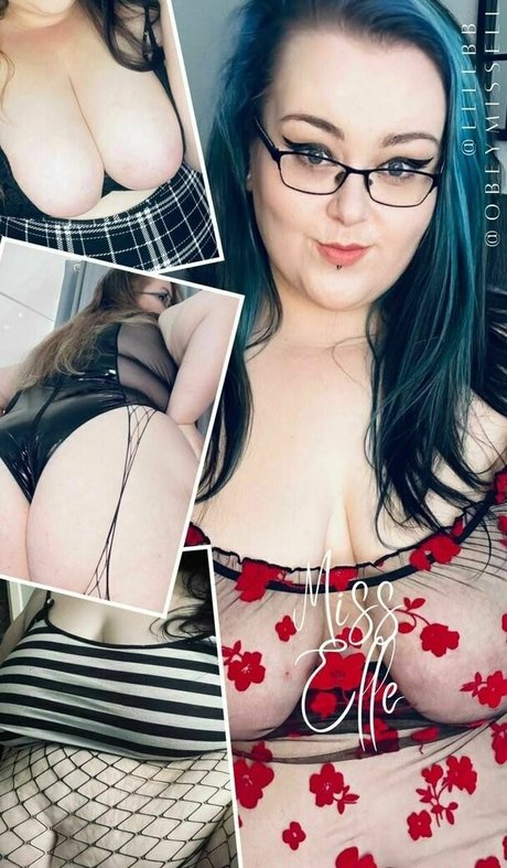 Thebbwbible
