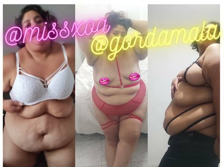 Thebbwbible