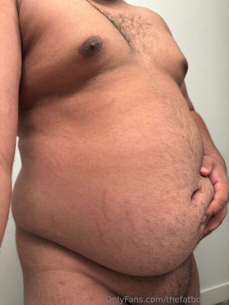 Thefatboygains