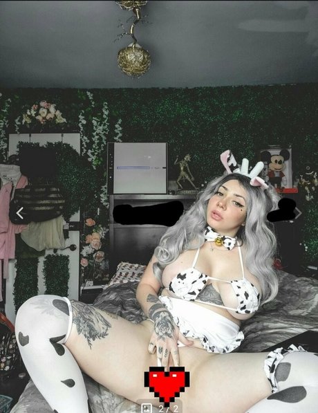 Leezalushfree