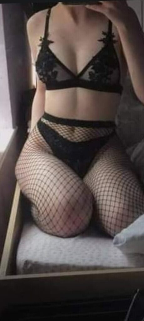 Perlita