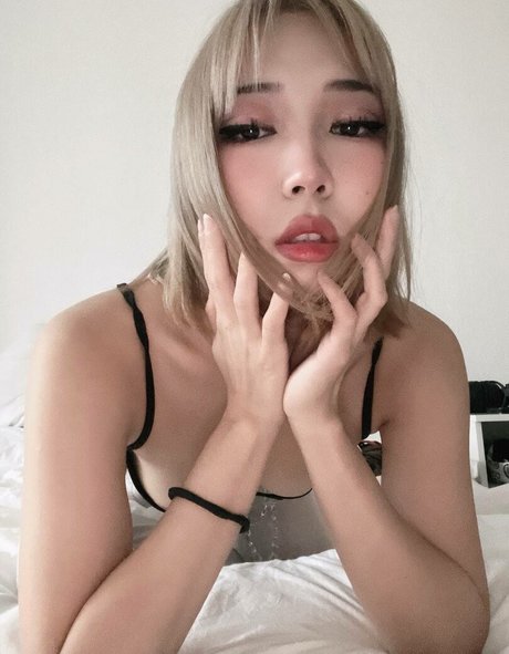 Ninjavi