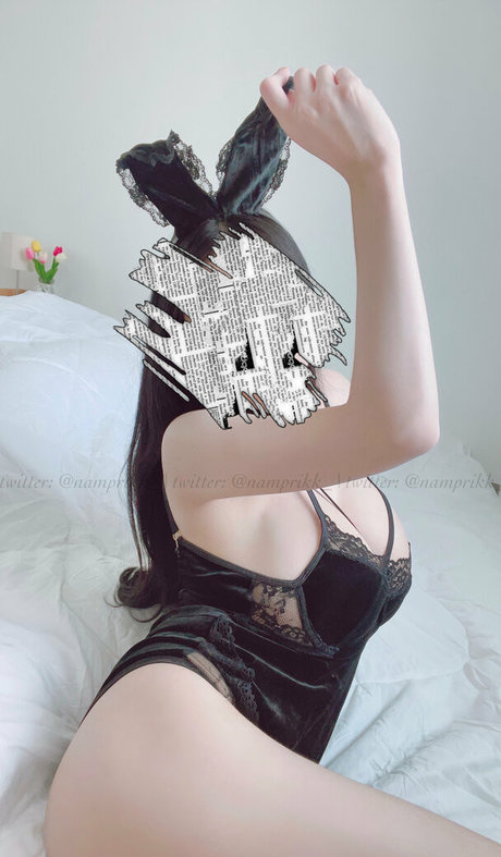 Npxvip