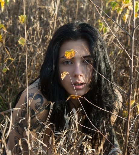 Evgenia Talanina