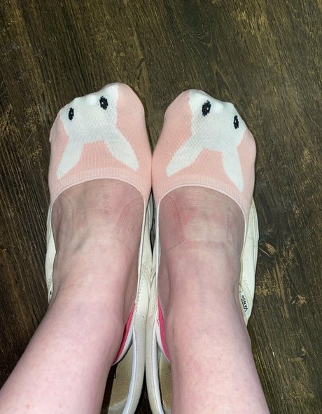 Toetalvixen