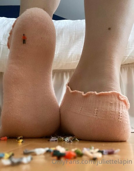 Juliettelapin