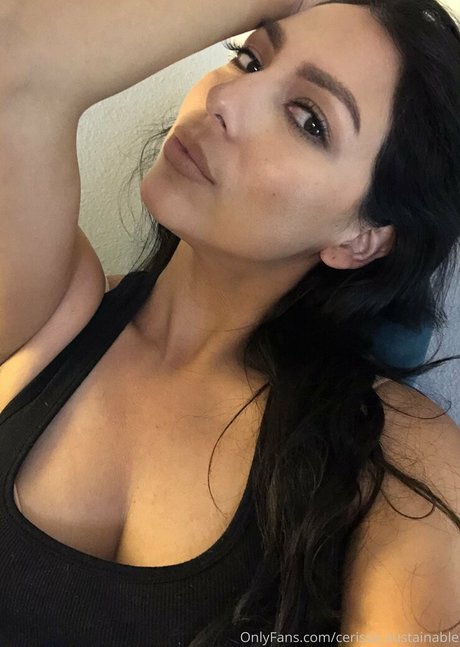 Cerissa