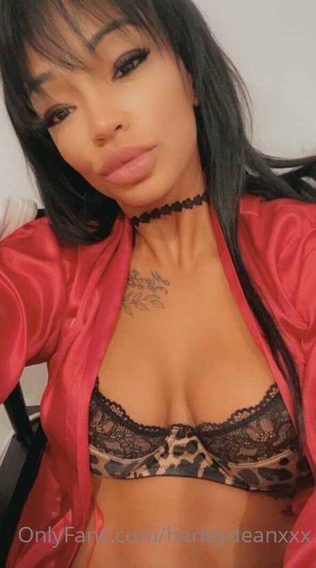 Harley Dean