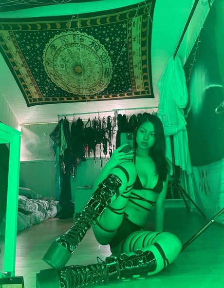 Exoticwildflower
