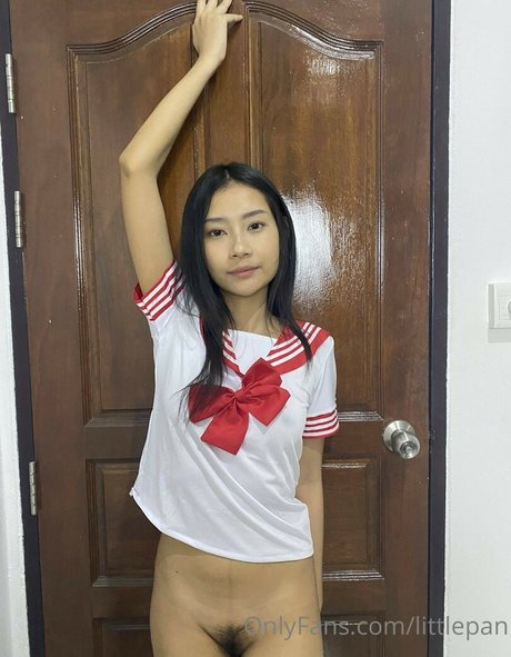 Littlepan