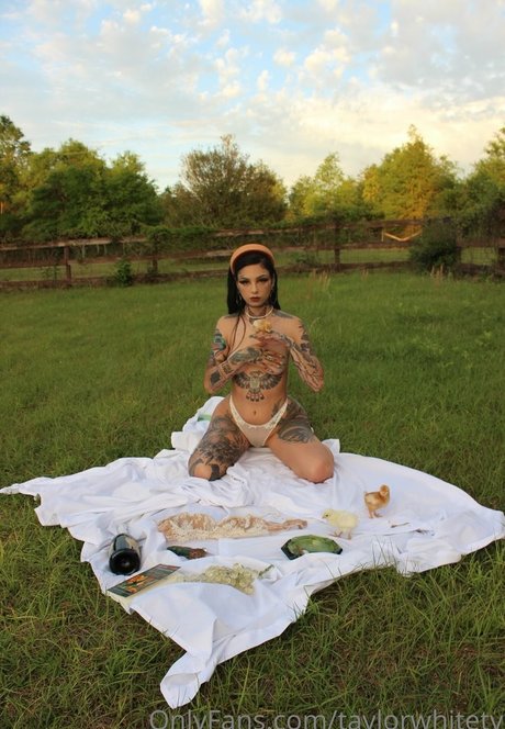 Taylor White