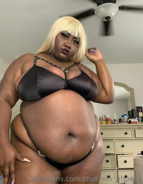 Phatassphoebe