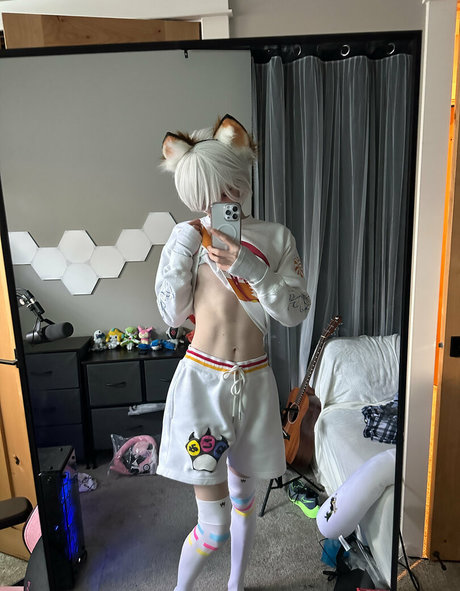 Catboiaoi