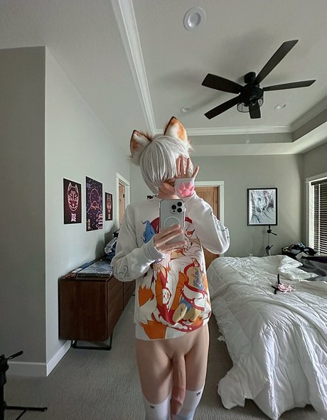 Catboiaoi