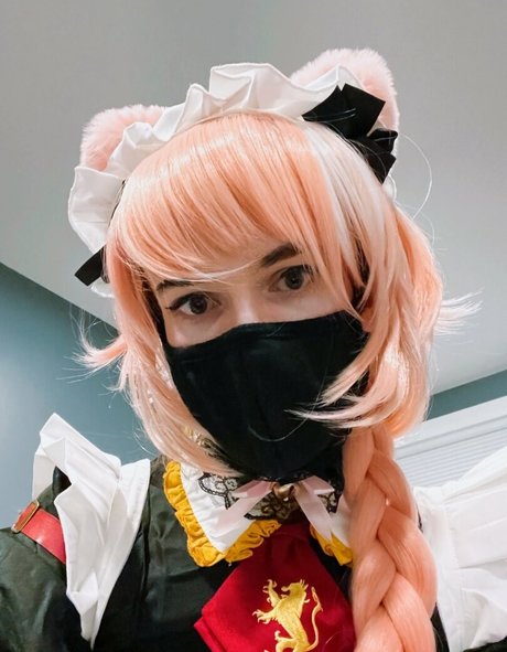 Catboiaoi