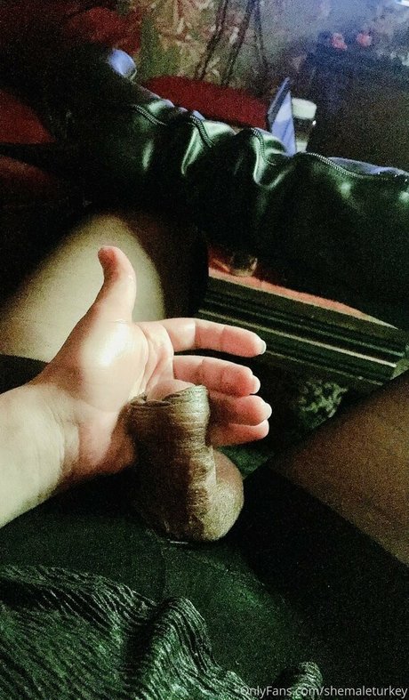 Обнаженная фотография утечки OnlyFans от Shemaleturkey