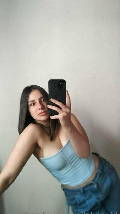 Lelymaid