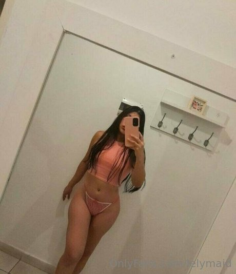 Lelymaid