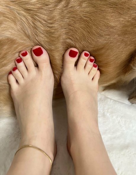 Bellaspaws
