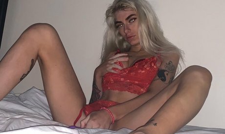 Amylicks