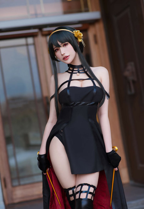 Plant Lily