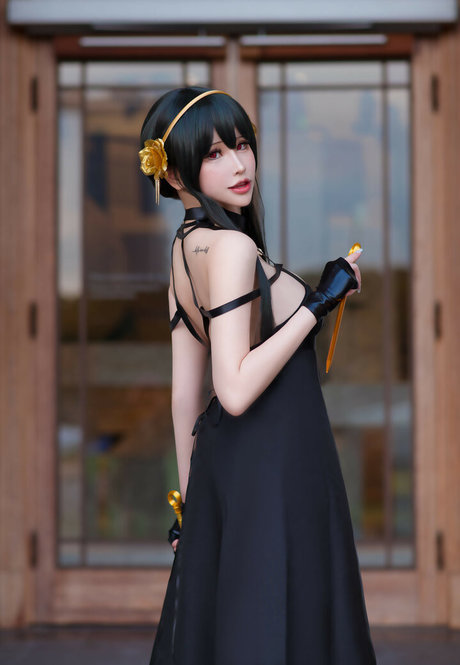 Plant Lily