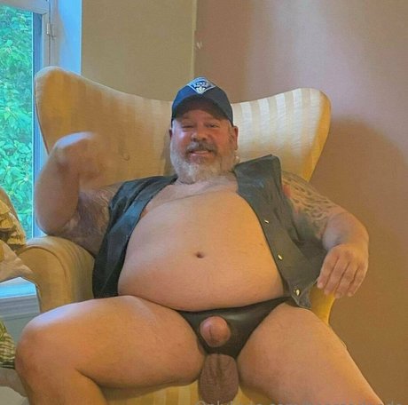 Bearsorlando