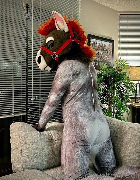 Afterneigh