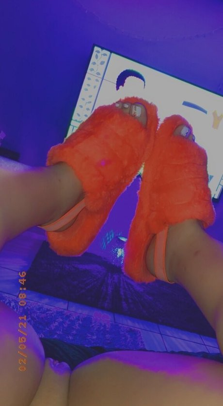 Gabbygotfans